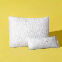 Best Pillow for Neck Pain - Coop Home Goods The Original Pillow Review