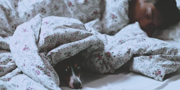Co-Sleeping with Pets